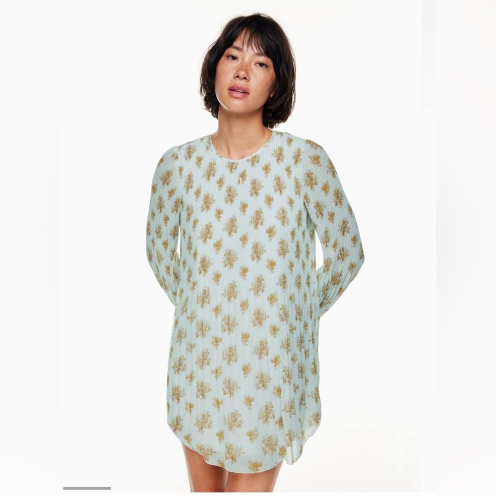 Wilfred Aritzia Women's Floral Pleated Mini Dress Sheer A-Line Puffed Sleeve